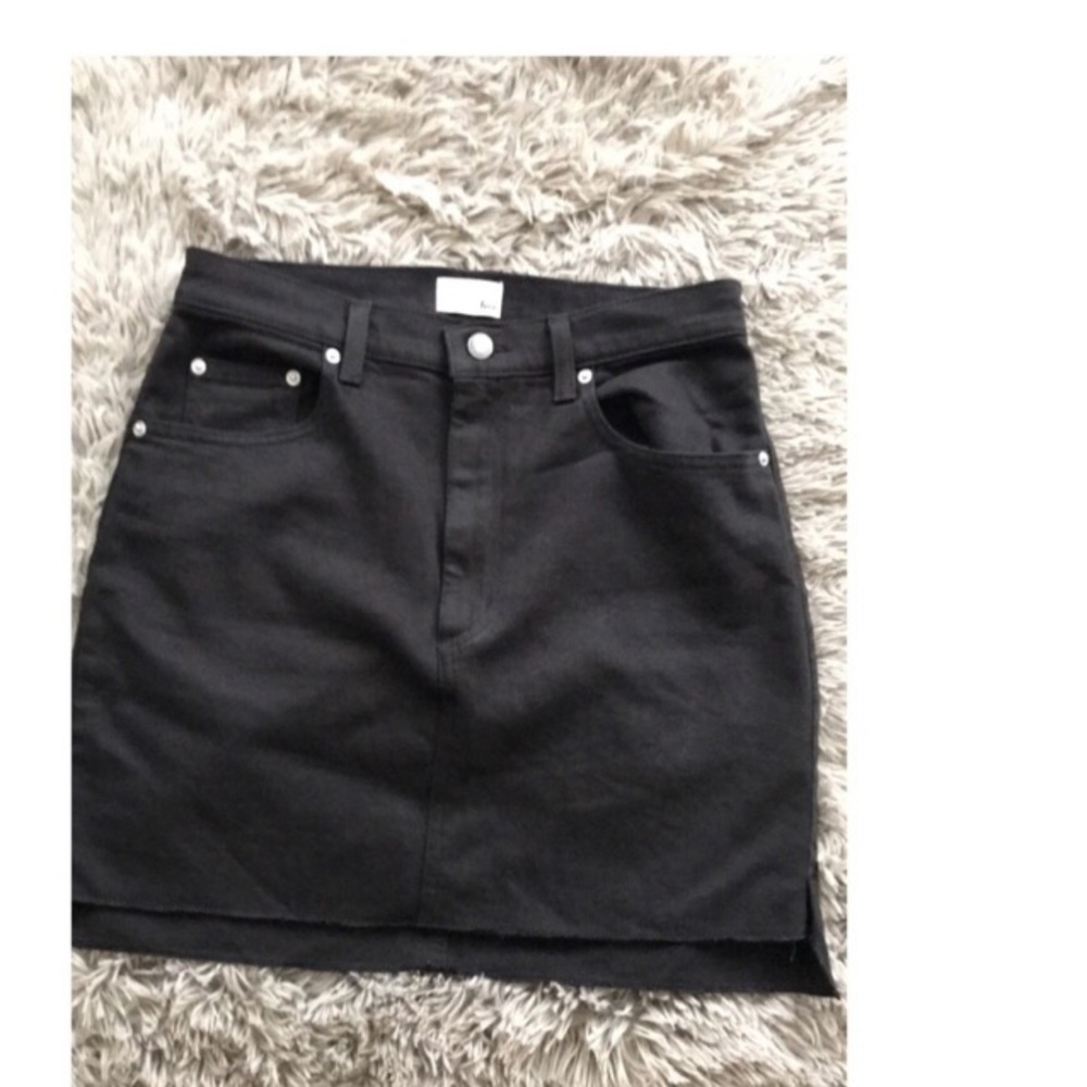 Aritzia skirt